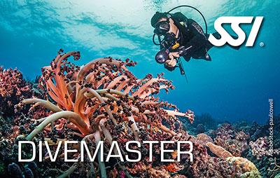 Divemaster program